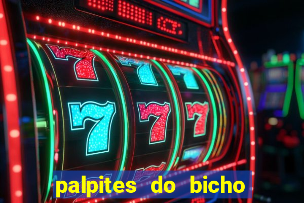 palpites do bicho no celular