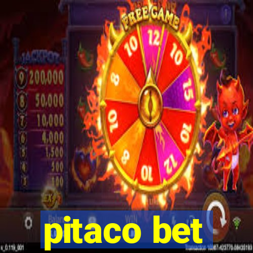 pitaco bet