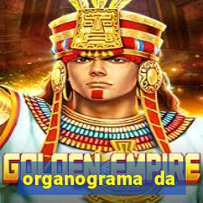 organograma da cacau show