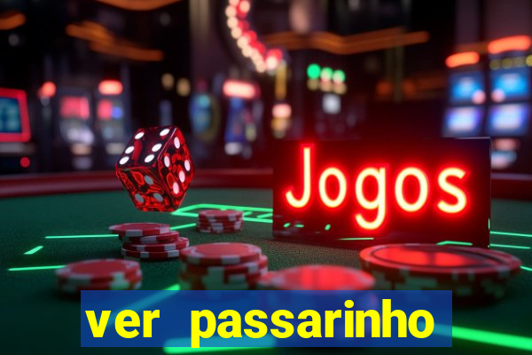 ver passarinho morto significado