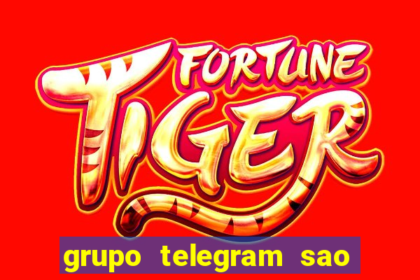 grupo telegram sao jose do rio preto