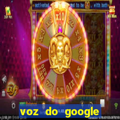 voz do google tradutor homem