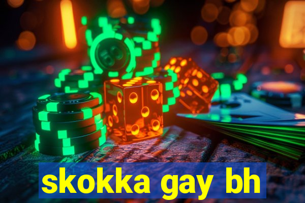 skokka gay bh