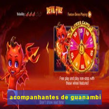 acompanhantes de guanambi