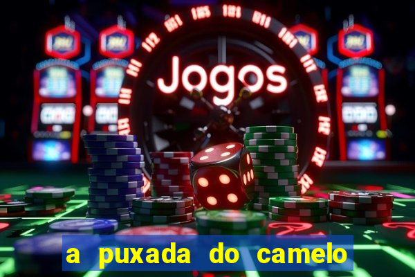 a puxada do camelo no jogo do bicho