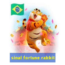 sinal fortune rabbit