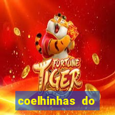 coelhinhas do brasil jp