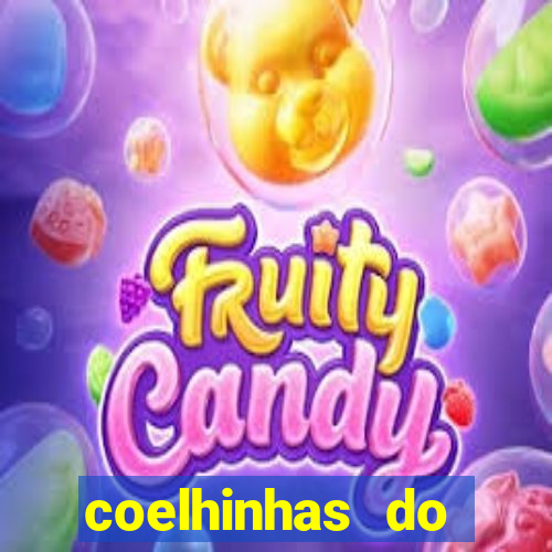 coelhinhas do brasil recife