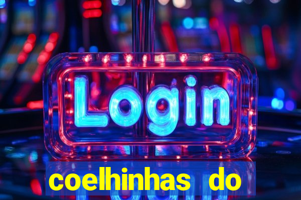 coelhinhas do brasil recife