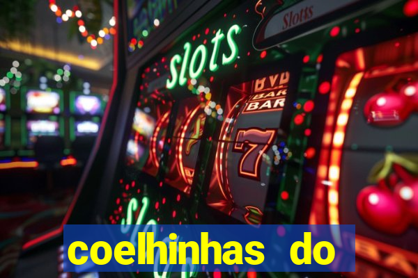 coelhinhas do brasil recife