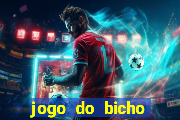 jogo do bicho crash bingo