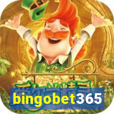 bingobet365