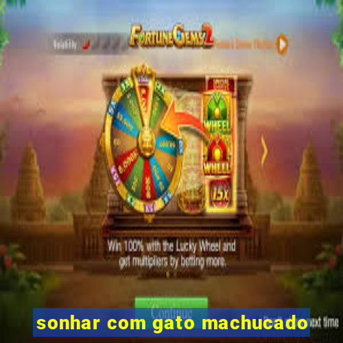 sonhar com gato machucado