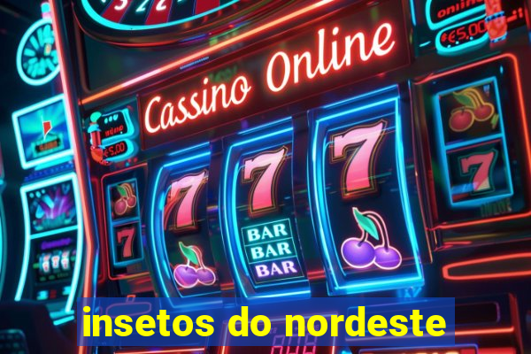 insetos do nordeste