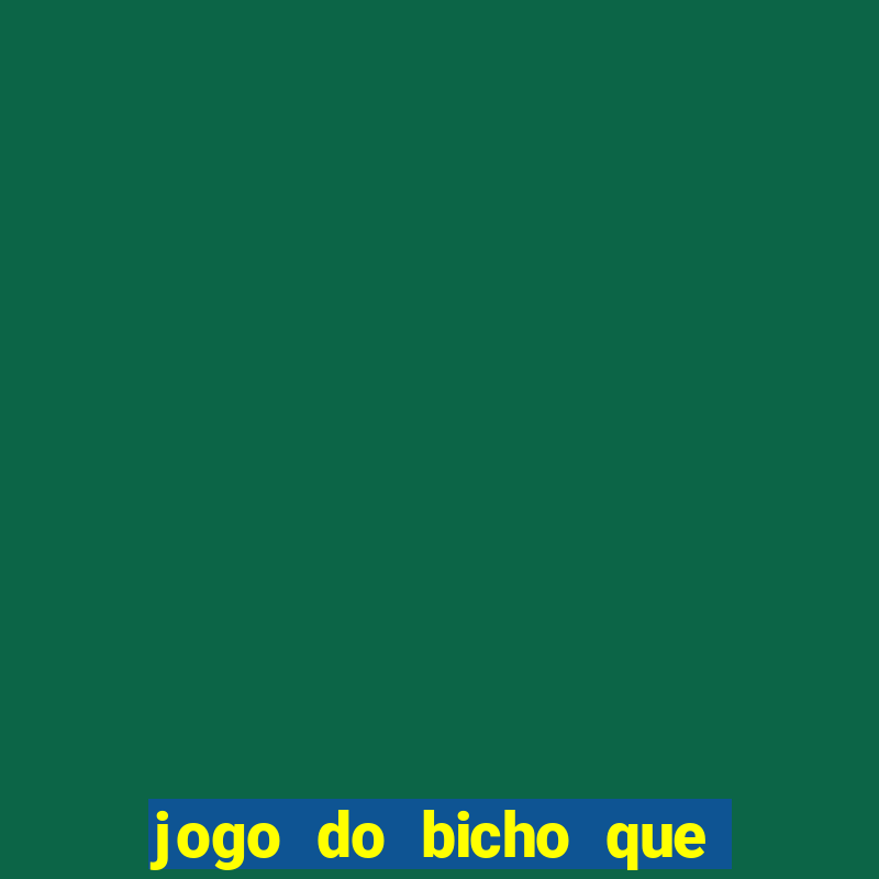 jogo do bicho que paga no pix