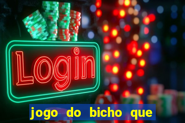 jogo do bicho que paga no pix