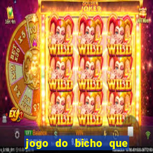 jogo do bicho que paga no pix