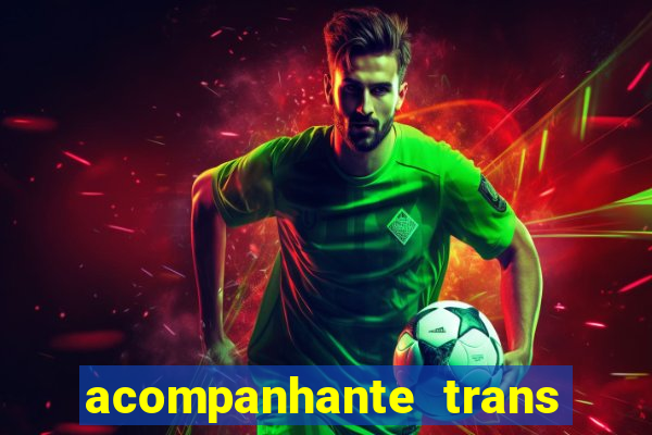 acompanhante trans baixada fluminense