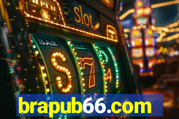 brapub66.com