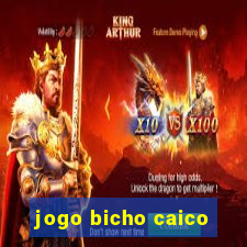 jogo bicho caico