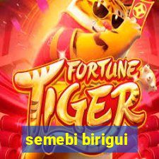 semebi birigui