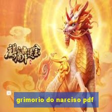 grimorio do narciso pdf