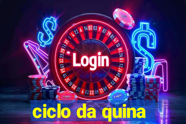 ciclo da quina