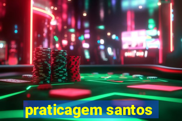 praticagem santos