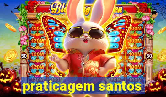 praticagem santos