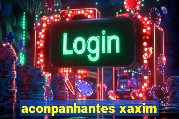 aconpanhantes xaxim