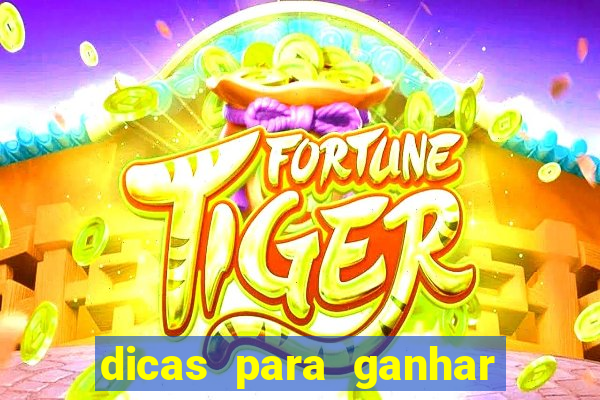 dicas para ganhar no fortune rabbit