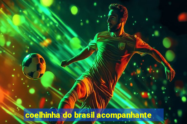 coelhinha do brasil acompanhante