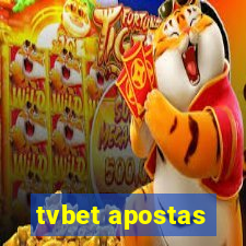 tvbet apostas