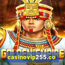 casinovip255.com