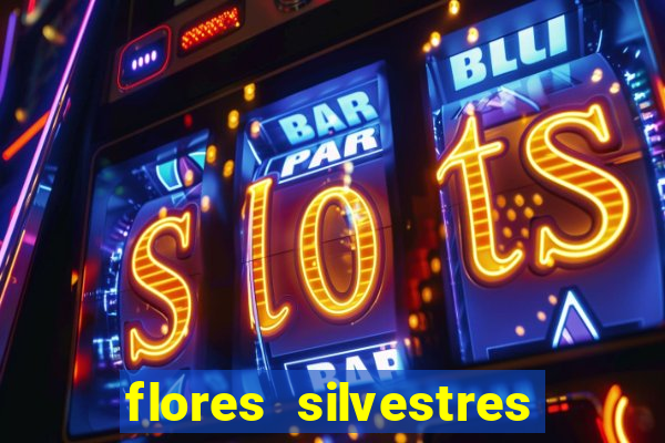 flores silvestres desbravadores desbravadores 25