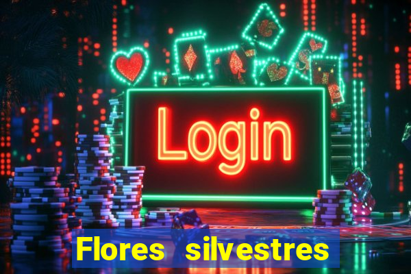 Flores silvestres brasileiras brasileiras flores silvestres nomes e imagens