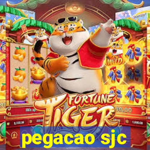 pegacao sjc