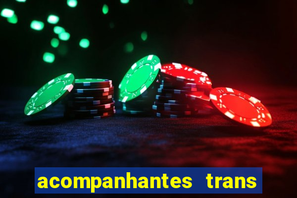 acompanhantes trans baixada fluminense