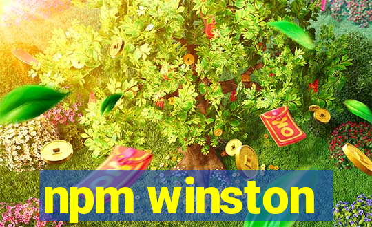 npm winston