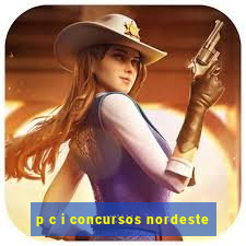 p c i concursos nordeste