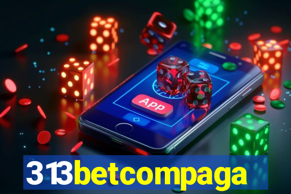 313betcompaga