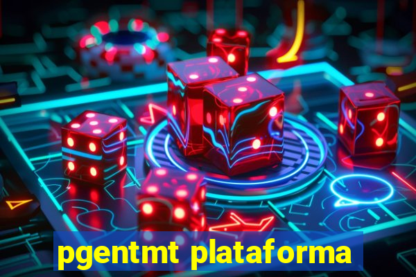 pgentmt plataforma