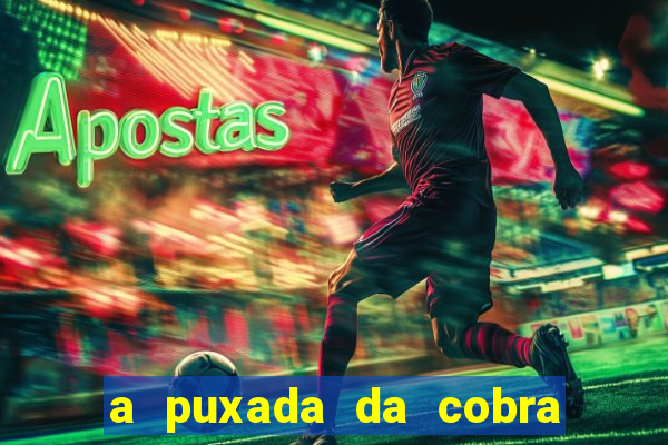 a puxada da cobra no jogo do bicho