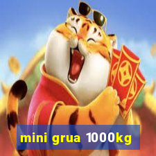 mini grua 1000kg