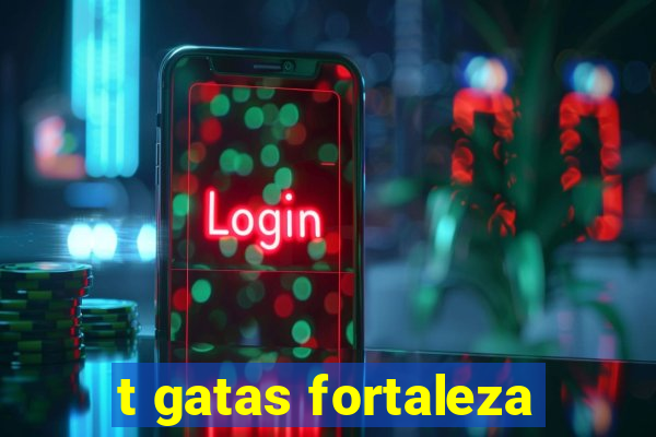 t gatas fortaleza