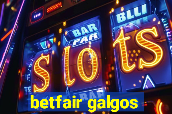 betfair galgos