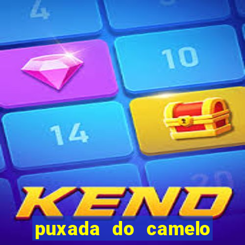 puxada do camelo jogo do bicho