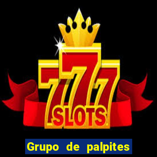 Grupo de palpites de futebol gratis