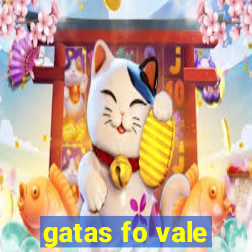 gatas fo vale