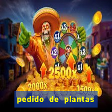 pedido de plantas stardew valley onde entregar pedido de plantas